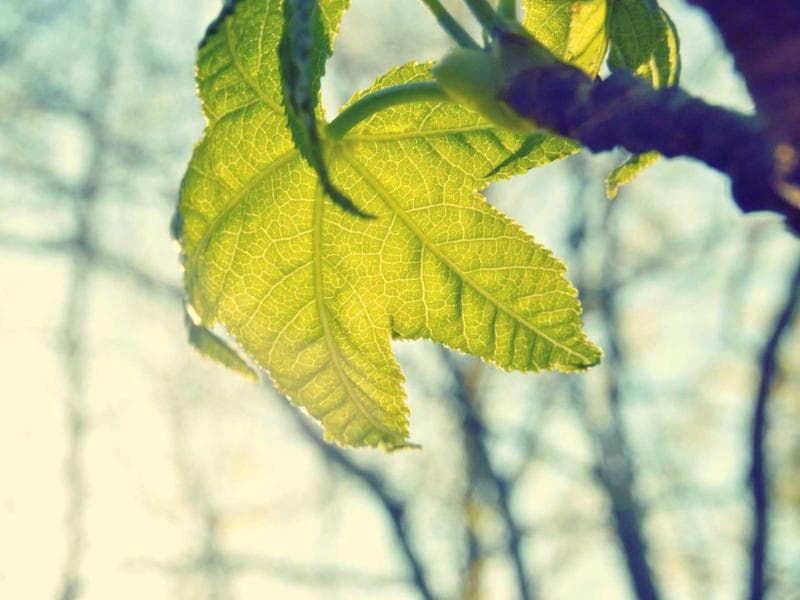 commercial · Hluti — photo 7 of 20