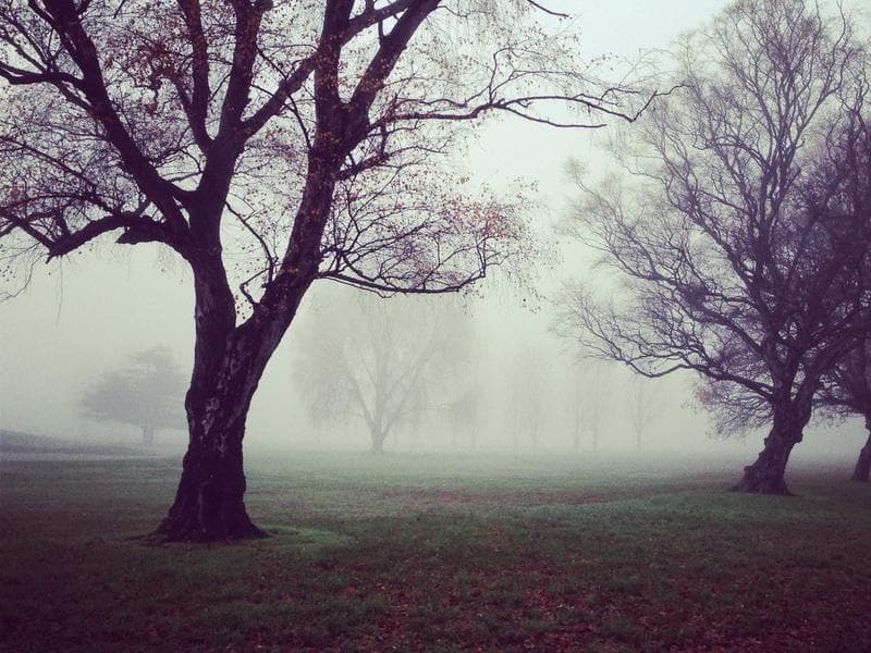 Warehouse · 1,200 m² — photo 18 of 20