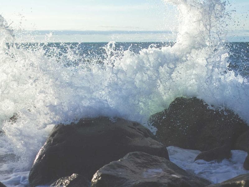 Warehouse · 1,200 m² — photo 5 of 20