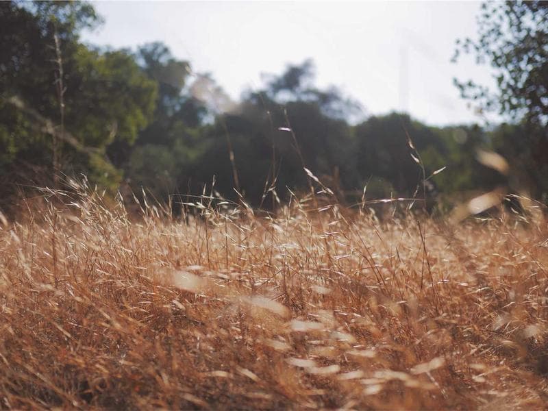 5-bed house · Mbabane — photo 15 of 20