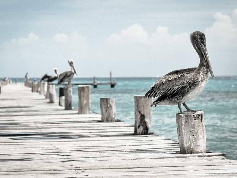 3-bed apartment to let · Ezulwini Valley — photo 6 of 20