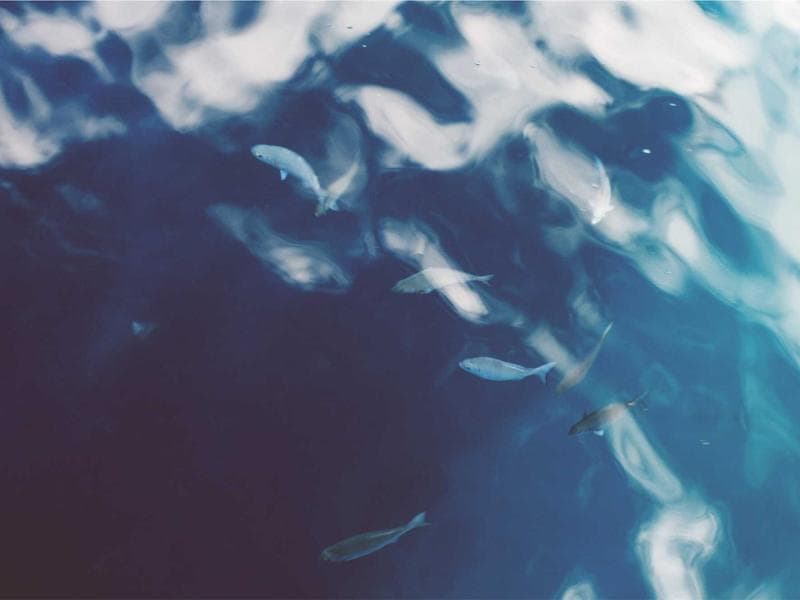 3-bed townhouse · Piggs Peak — photo 13 of 20