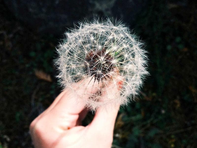 Smallholding to let · Big Bend — photo 11 of 20