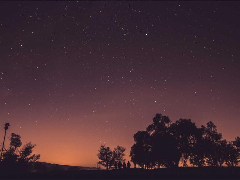 Smallholding to let · Big Bend — photo 18 of 20