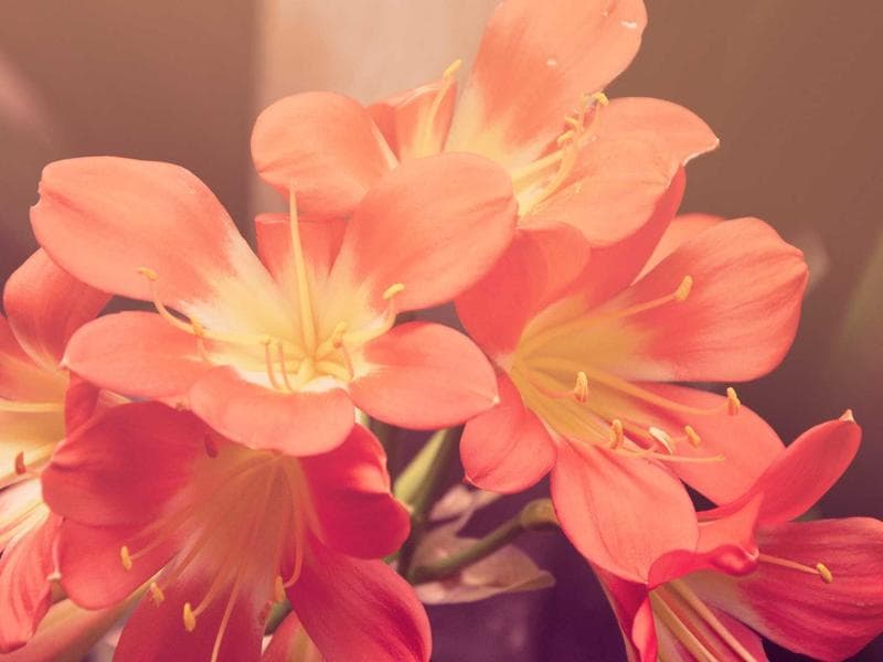 3-bed apartment · Nhlangano — photo 1 of 20