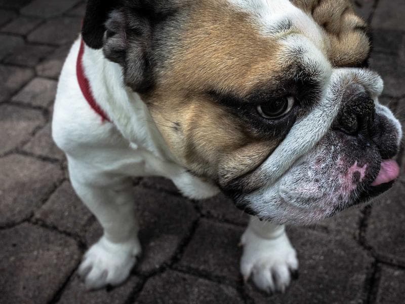 3-bed apartment · Nhlangano — photo 16 of 20