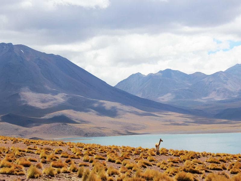 5-bed townhouse · Hluti — photo 13 of 20