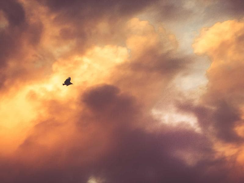 5-bed townhouse · Hluti — photo 17 of 20