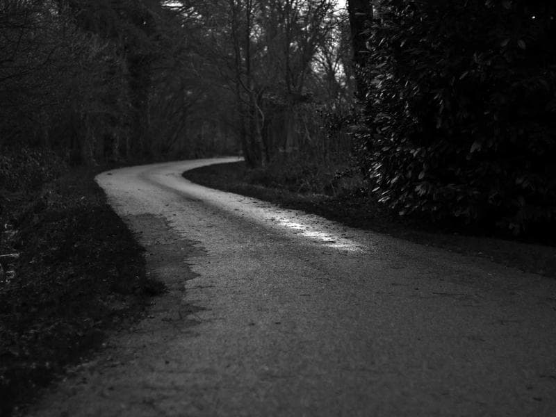 Plot to let · Lobamba — photo 7 of 20