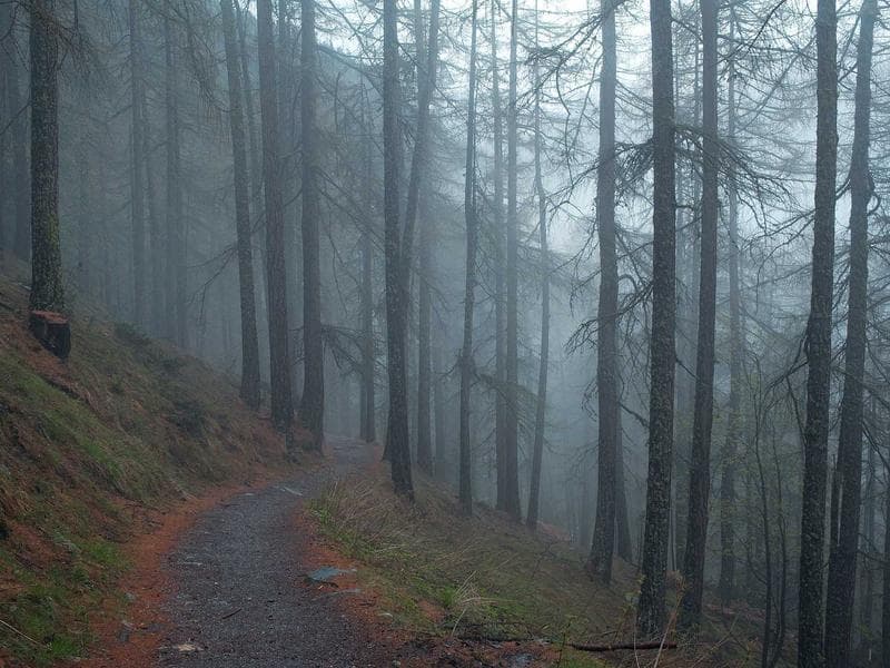 commercial · Mbabane — photo 3 of 20