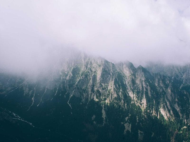Duplex with lock-up garage — photo 15 of 20