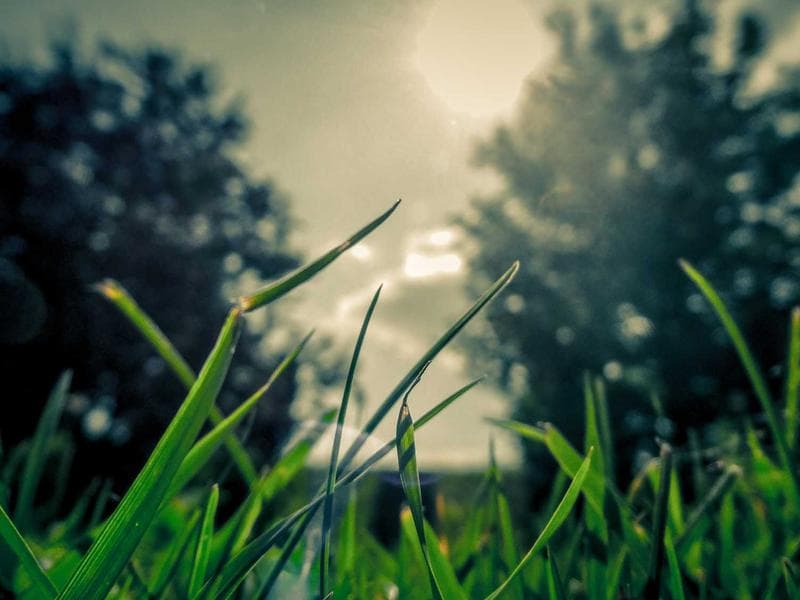 Duplex with lock-up garage — photo 19 of 20