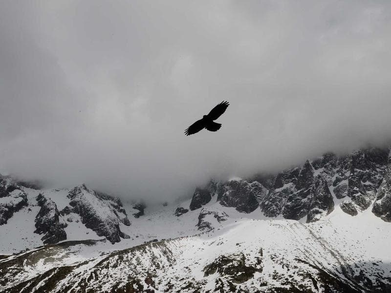 3-bed apartment · Lobamba — photo 9 of 20