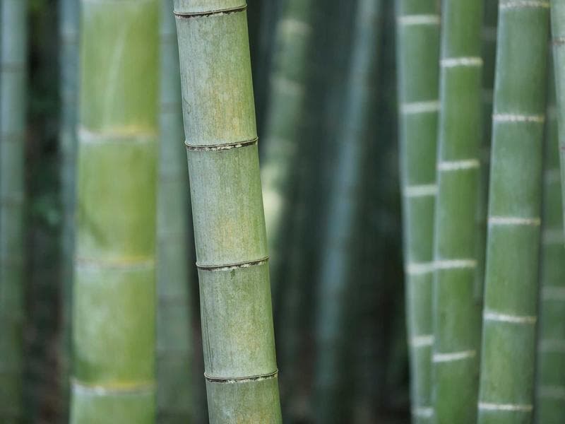 Plot to let · Ezulwini Valley — photo 14 of 20