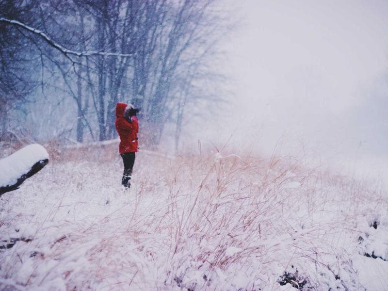 commercial · Piggs Peak — photo 6 of 20