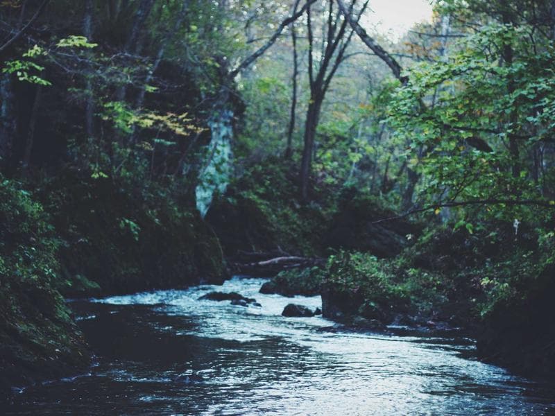 Smallholding · Manzini — photo 12 of 20