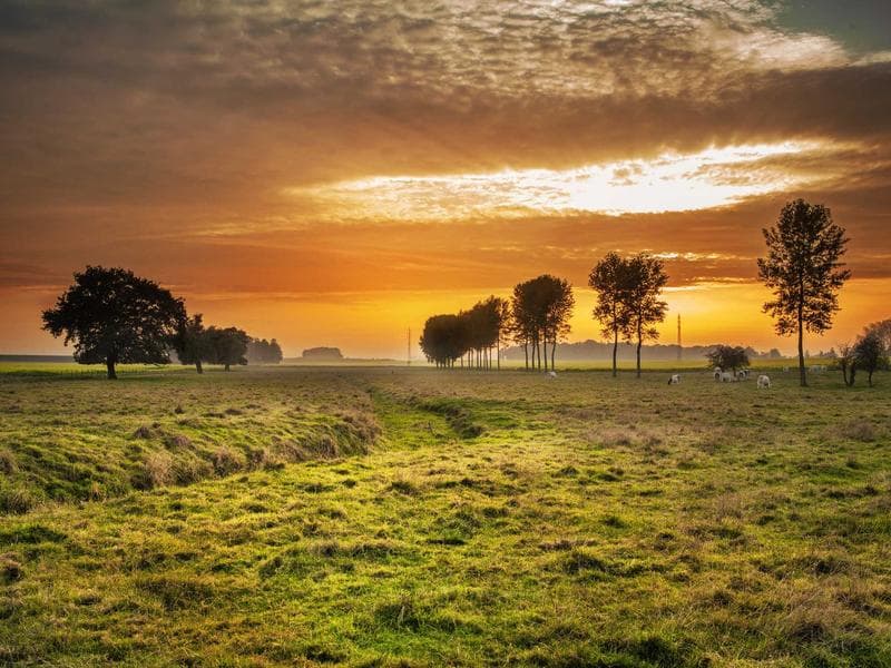 3-bed townhouse · Siteki — photo 16 of 20