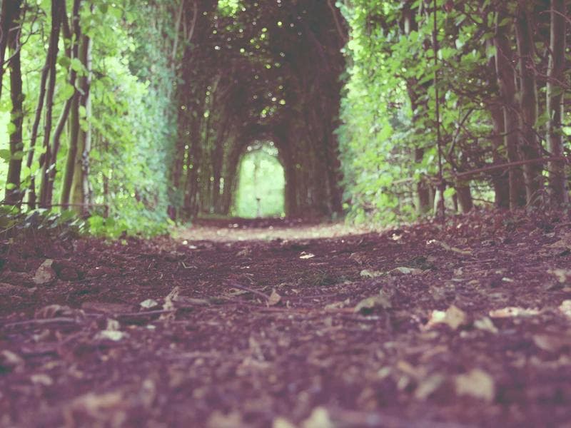 commercial · Hluti — photo 20 of 20