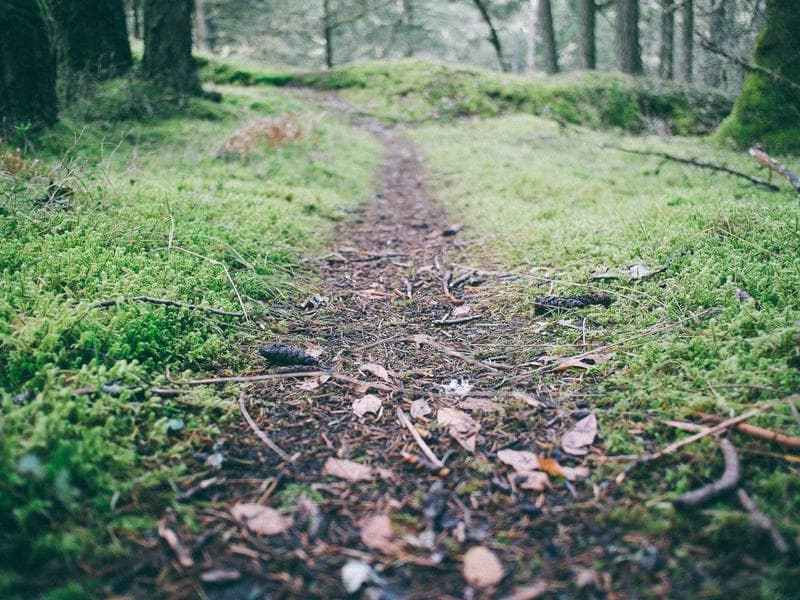 3-bed apartment · Ezulwini Valley — photo 12 of 20