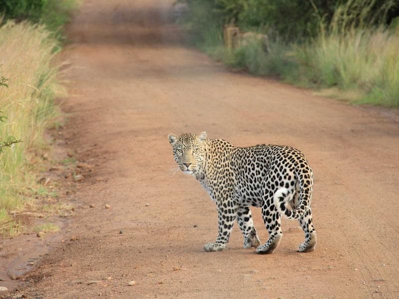 5-bed house · Siteki — photo 2 of 20