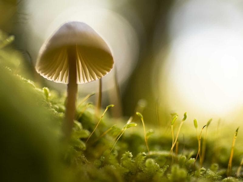 3-bed townhouse · Hluti — photo 20 of 20