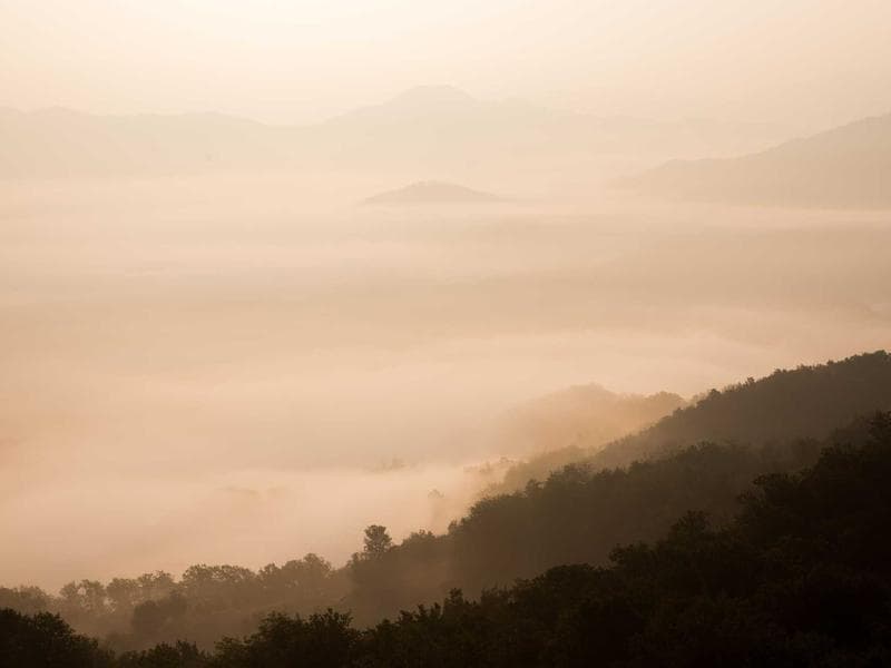 Plot · Lobamba — photo 10 of 20