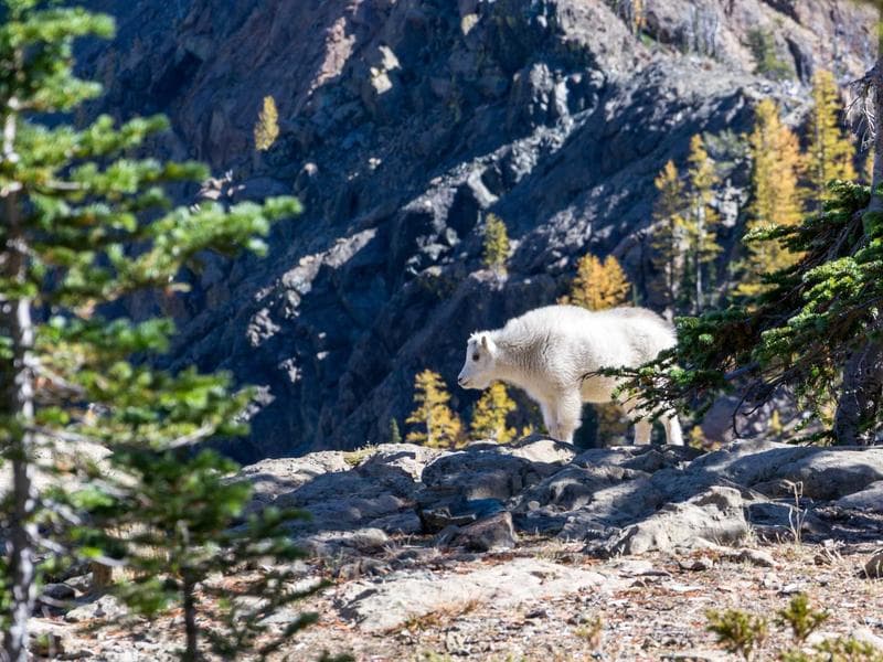 commercial · Mbabane — photo 18 of 20