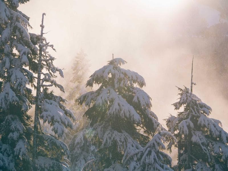 Plot to let · Big Bend — photo 7 of 20