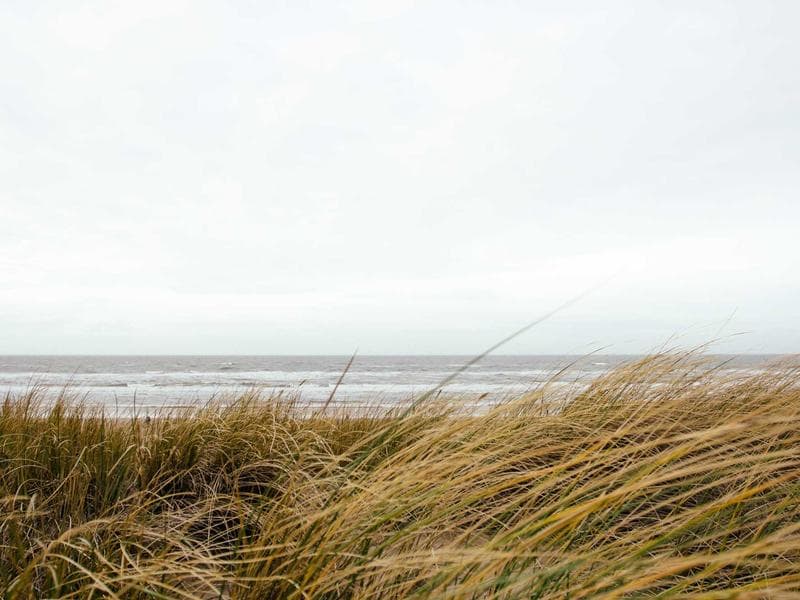 Smallholding · Nhlangano — photo 20 of 20