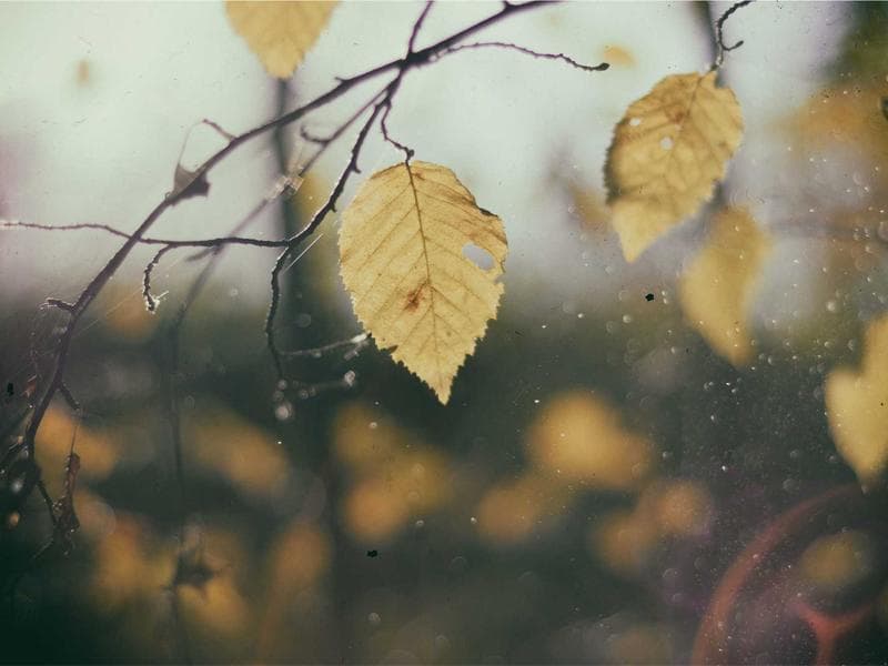 5-bed house · Hluti — photo 16 of 20