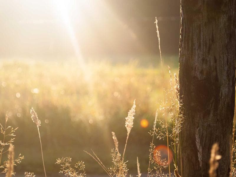 Brick under tile · 3 bed — photo 17 of 20