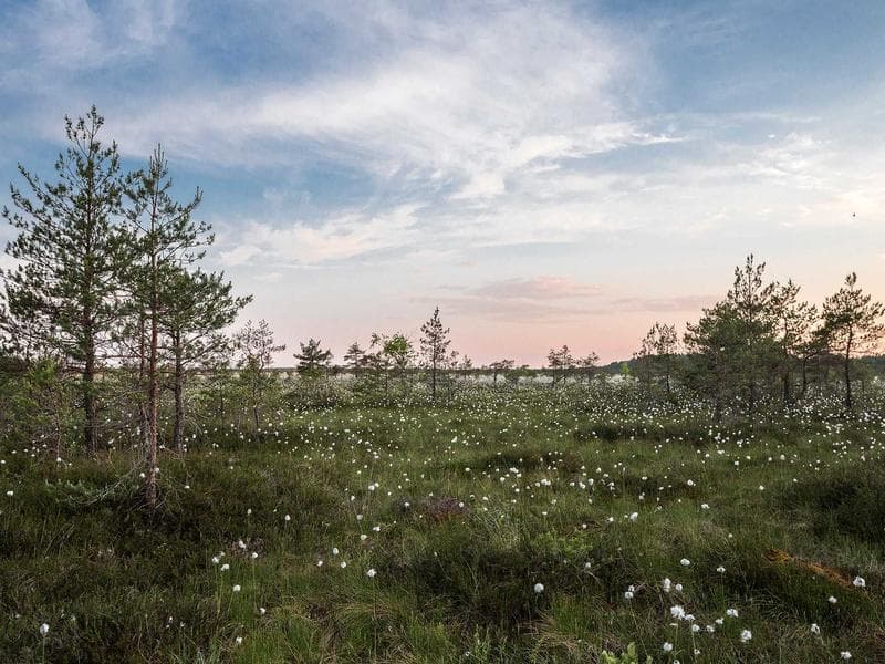 3-bed apartment to let · Lobamba — photo 5 of 20