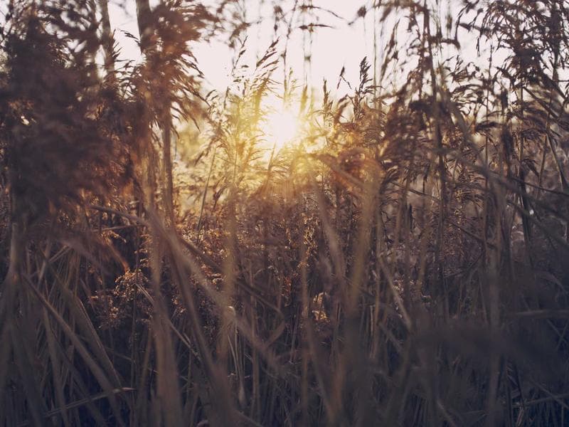 Plot · Ezulwini Valley — photo 6 of 20