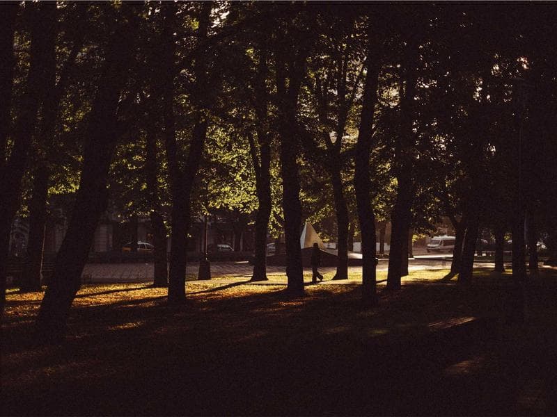 commercial · Piggs Peak — photo 15 of 20