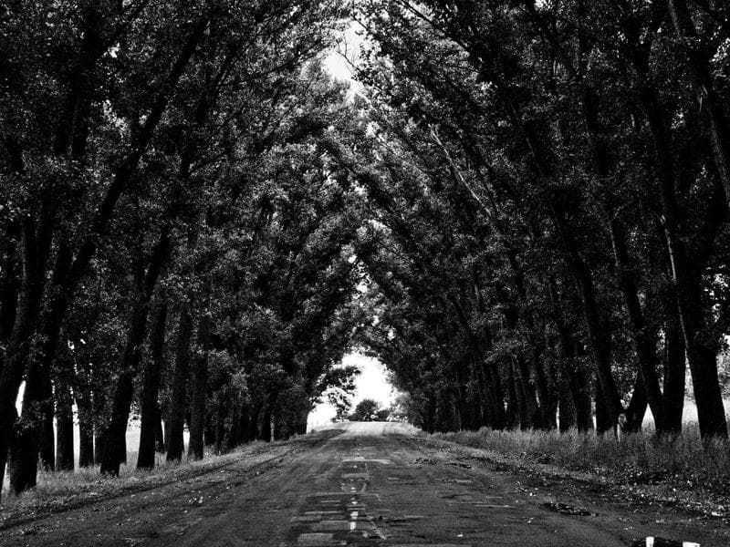 Plot to let · Nhlangano — photo 4 of 20