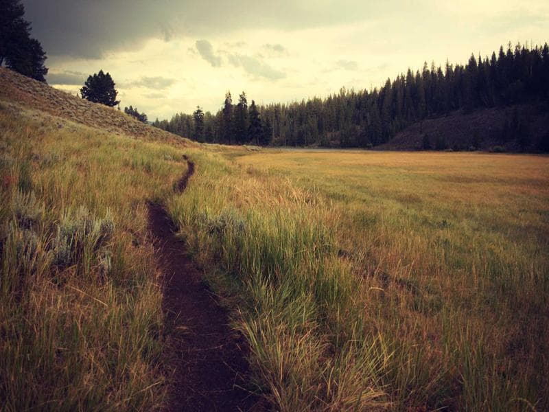 Residential plot · 800 m² — photo 10 of 20