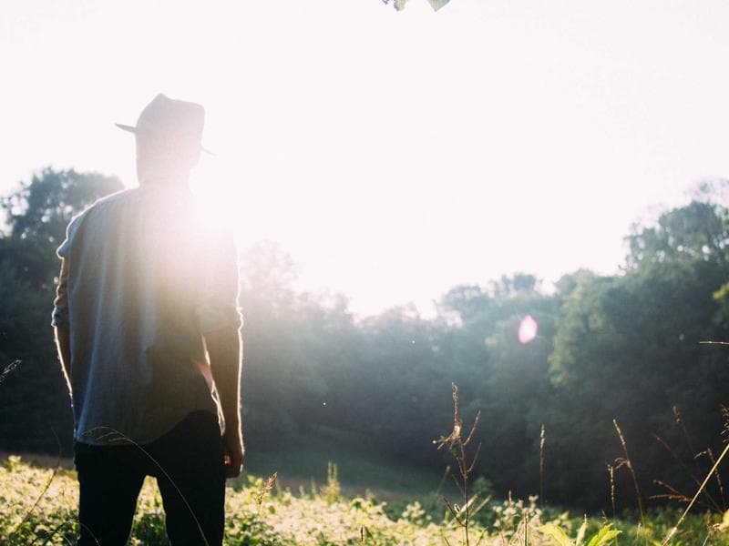 Residential plot · 800 m² — photo 17 of 20