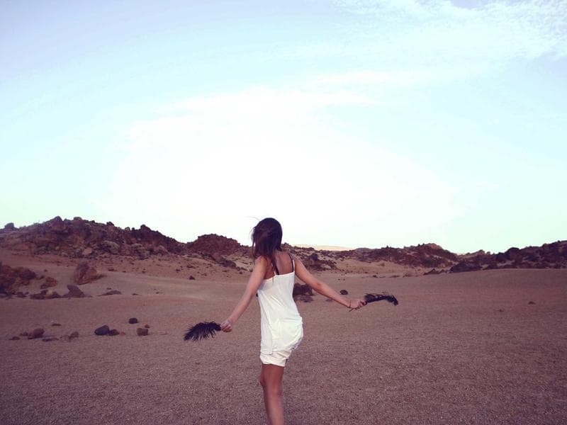 Residential plot · 800 m² — photo 19 of 20