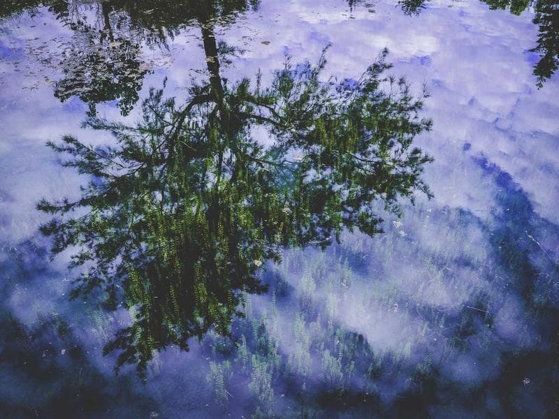 Residential plot · 800 m² — photo 20 of 20