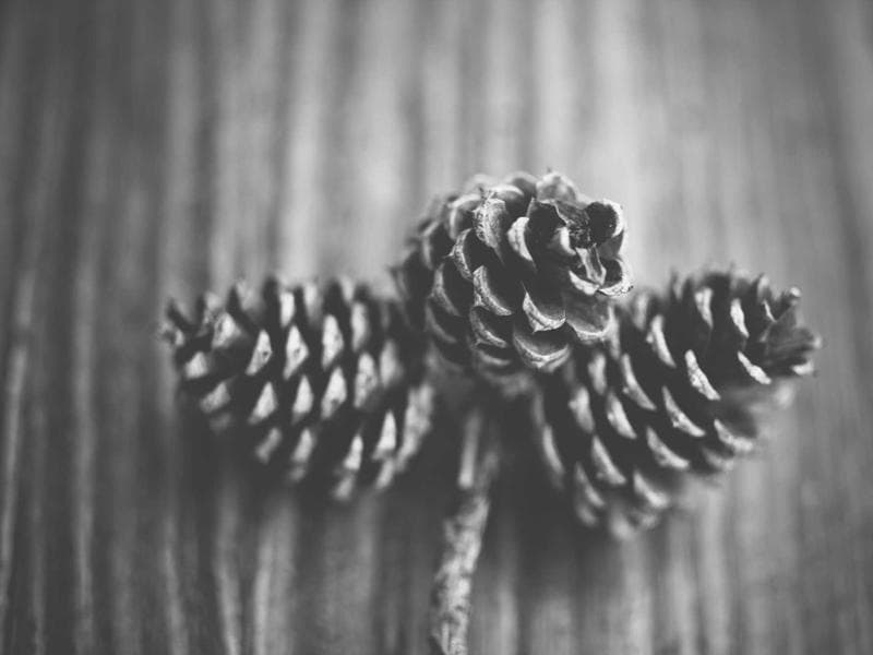 Smallholding · Lobamba — photo 16 of 20