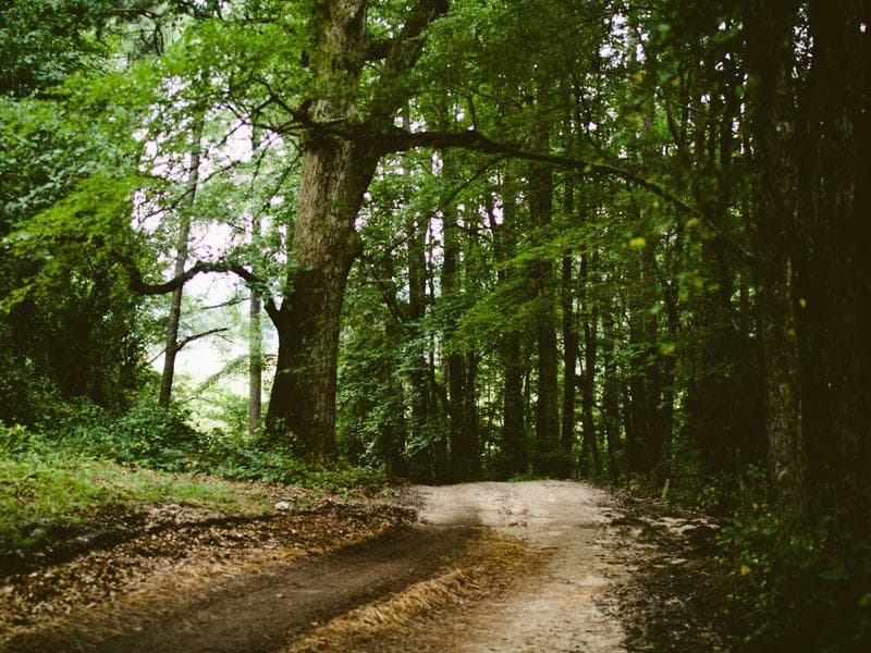 5-bed house · Mbabane — photo 6 of 20