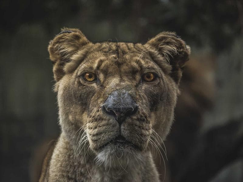 commercial · Matsapha — photo 2 of 20