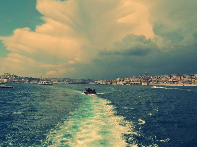 Smallholding to let · Big Bend — photo 6 of 20