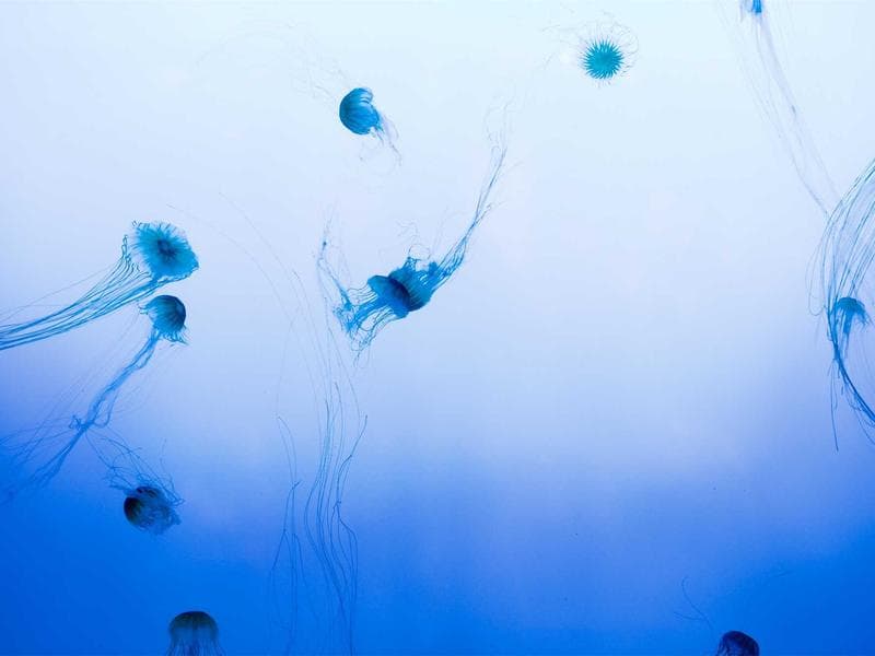 3-bed apartment · Nhlangano — photo 16 of 20